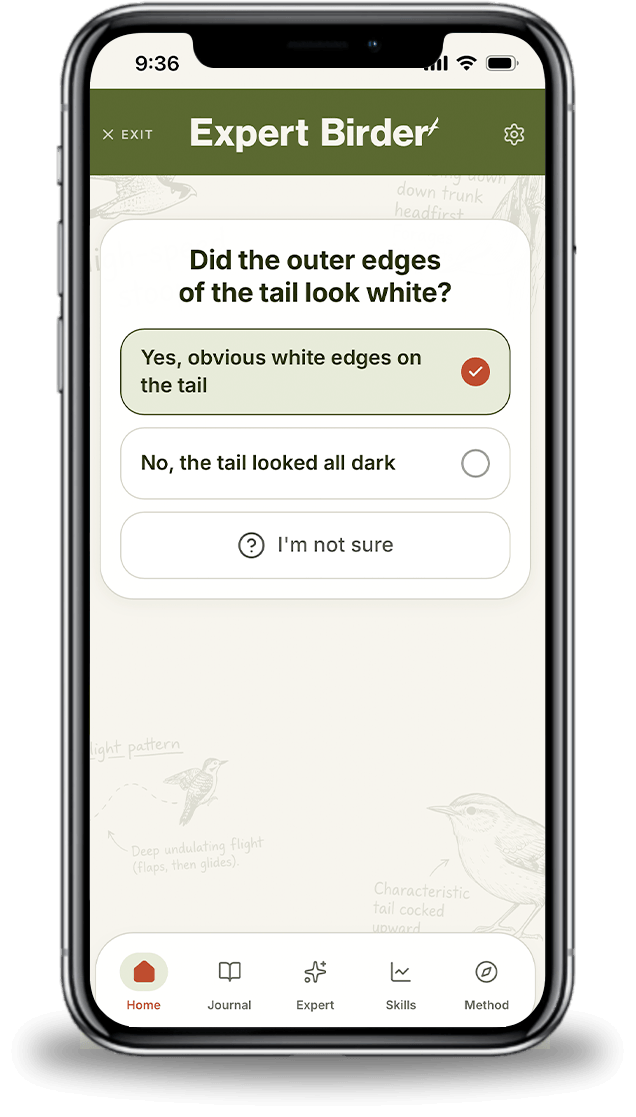Narrow it down screen in Expert Birder
